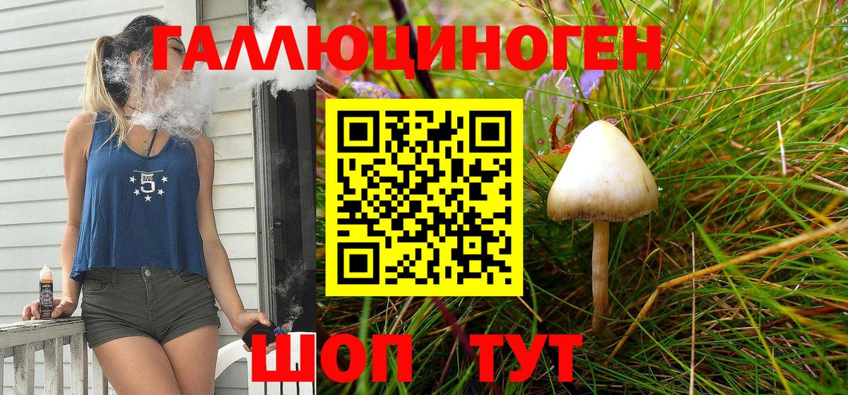 Галлюциногенные грибы Psilocybine cubensis Норильск