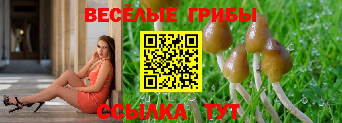 Галлюциногенные грибы Psilocybe  Вход с VPN  где можно купить наркотик  Норильск  Псилоцибиновые грибы мицелий 